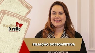 Explica Direito Filiação Socioafetiva  2019 [upl. by Ahsaya428]