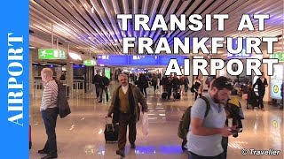 TRANSIT WALK AT FRANKFURT Airport FRA Terminal 1  Connection Flight Transfer Arriving amp Departing [upl. by Fitzpatrick]